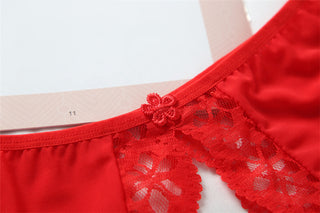 Transparent Mesh Lace Trim Low-rise Thin Crotchless Panties